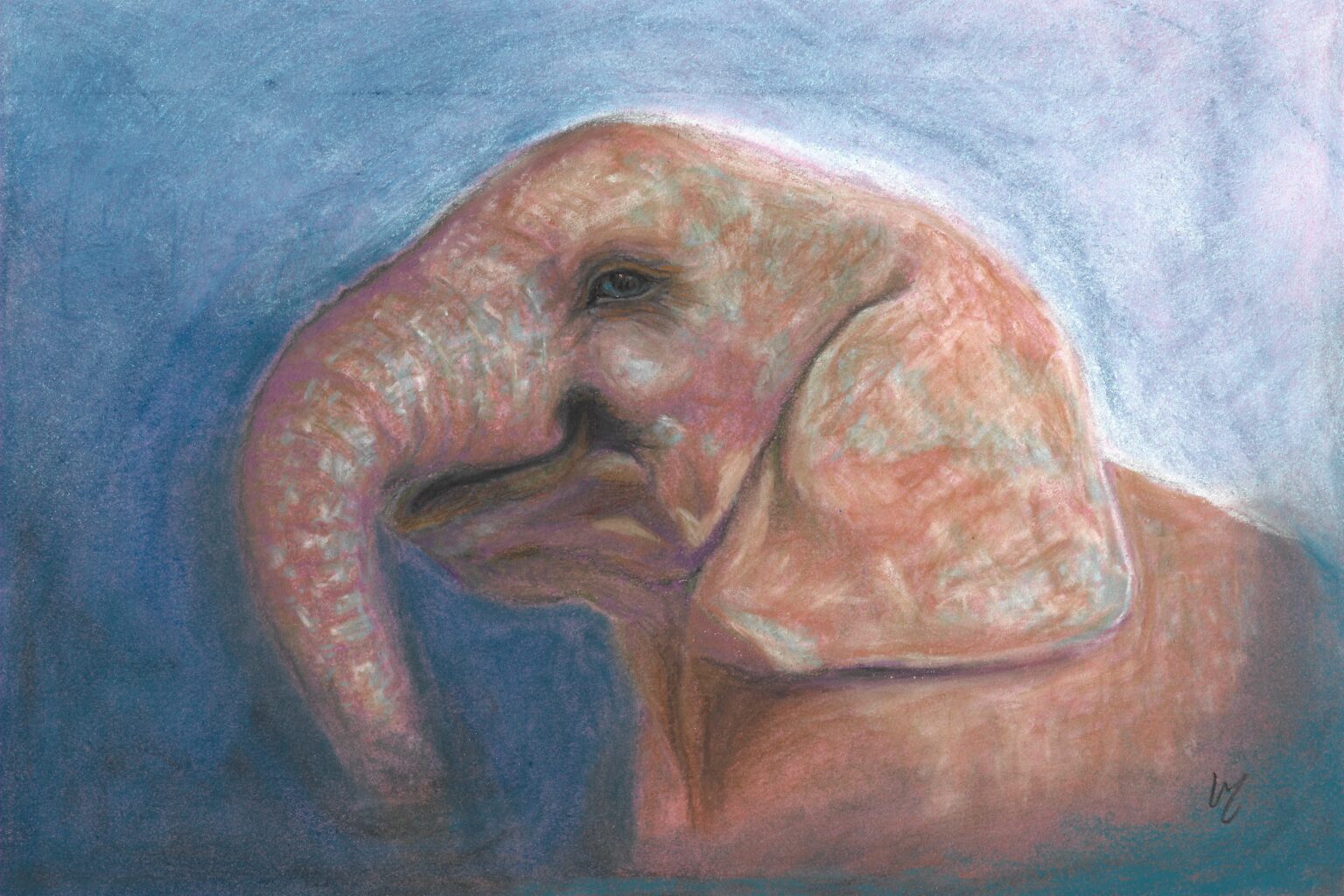 Dusty Charm - elephant drawing