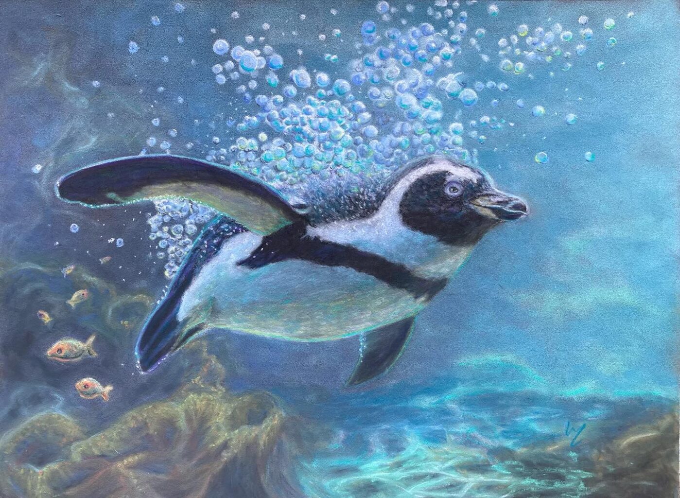 jackass penguin