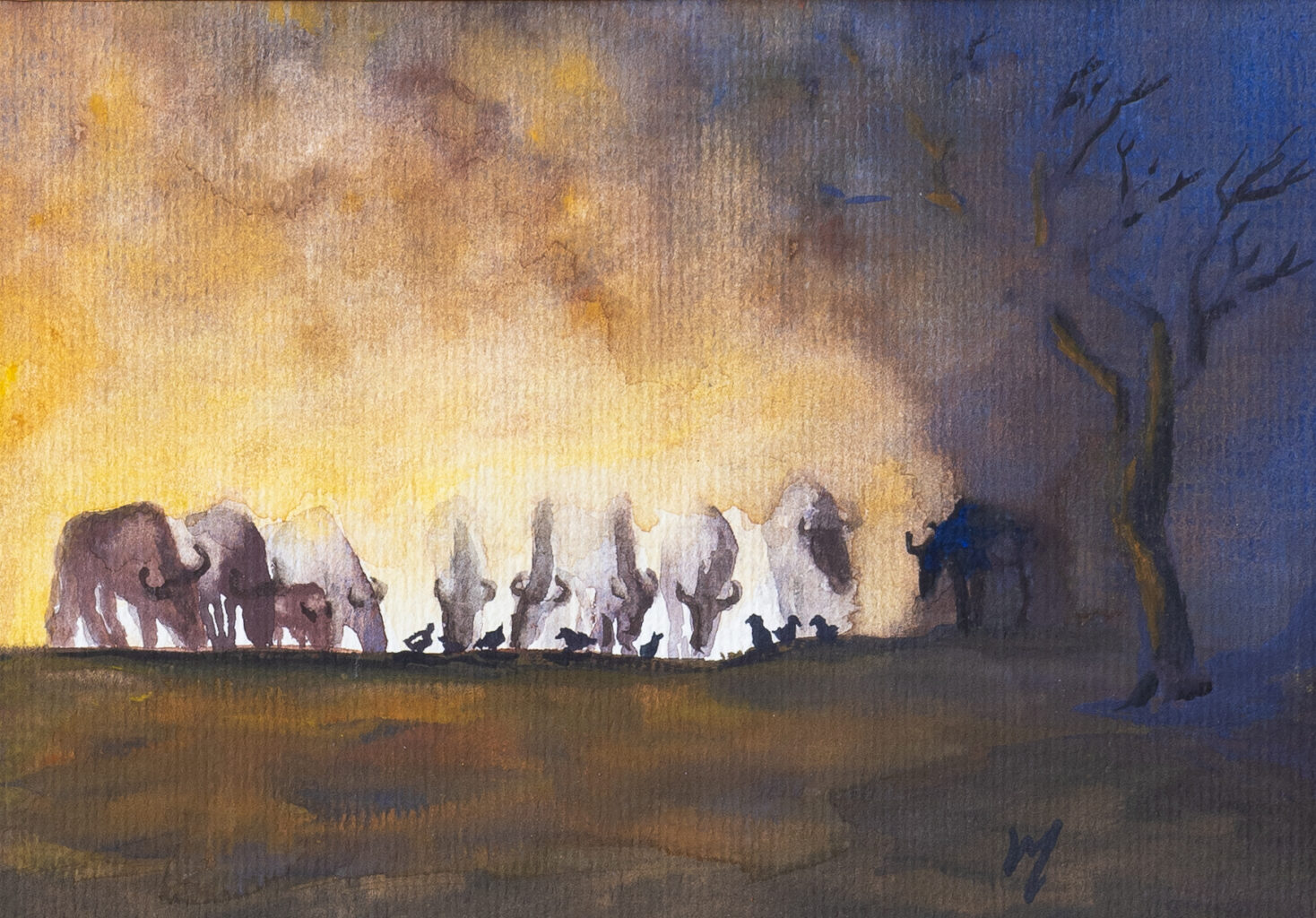 Kgalagadi Dusk – A herd of Wildebeest