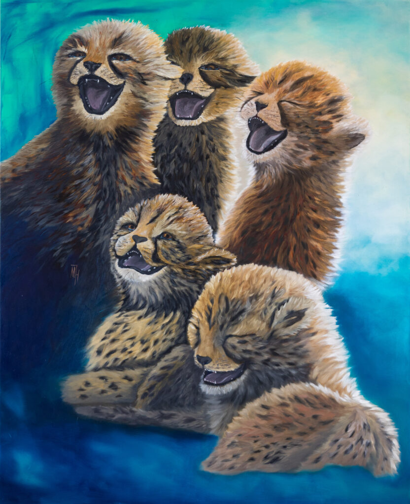 Laughing Cheetahs in Oils
