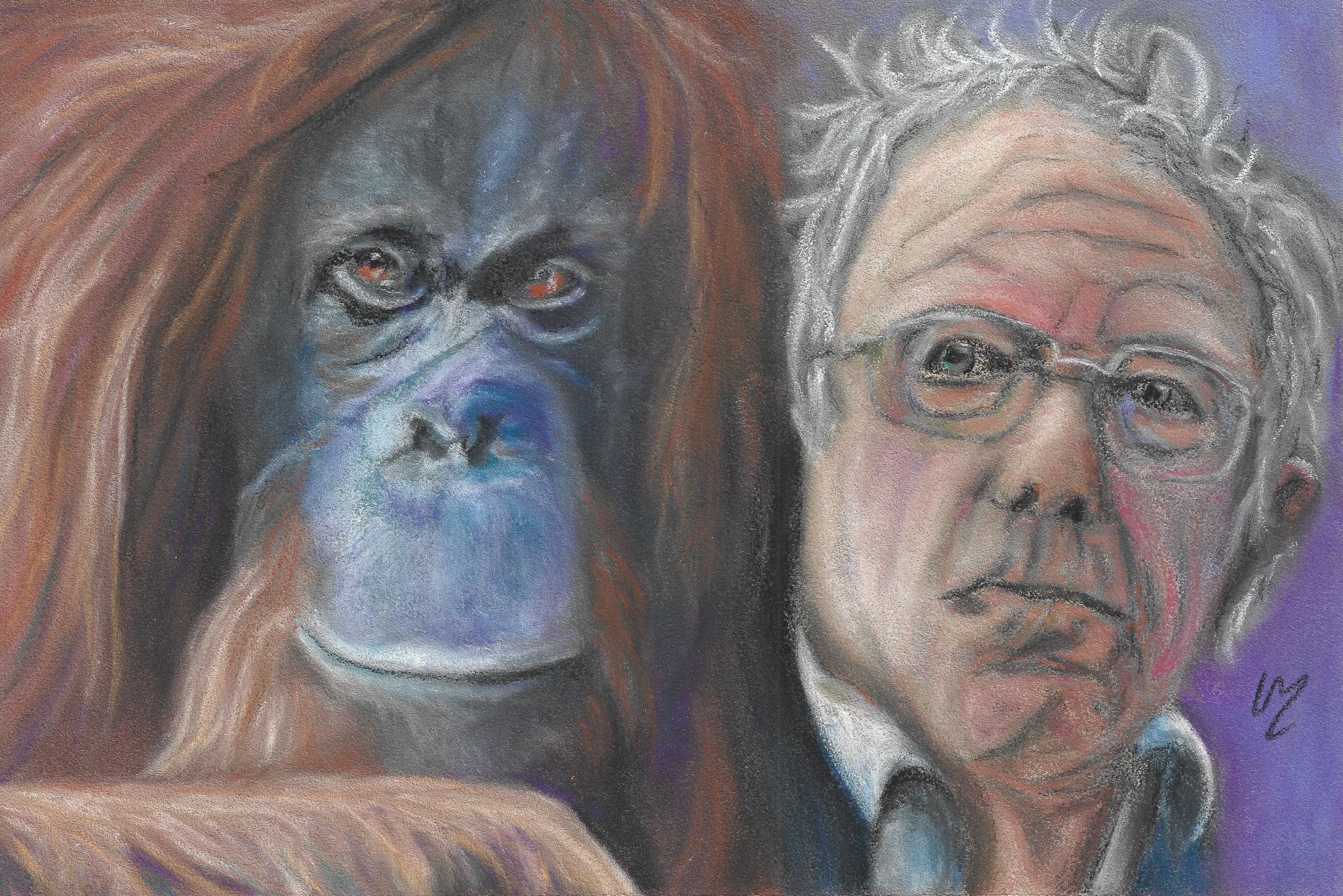 Unlikely Kinship - Bernie Sanders and Orang Utan