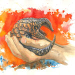 Cradle of Hope - Pangolin in the hands of its carer