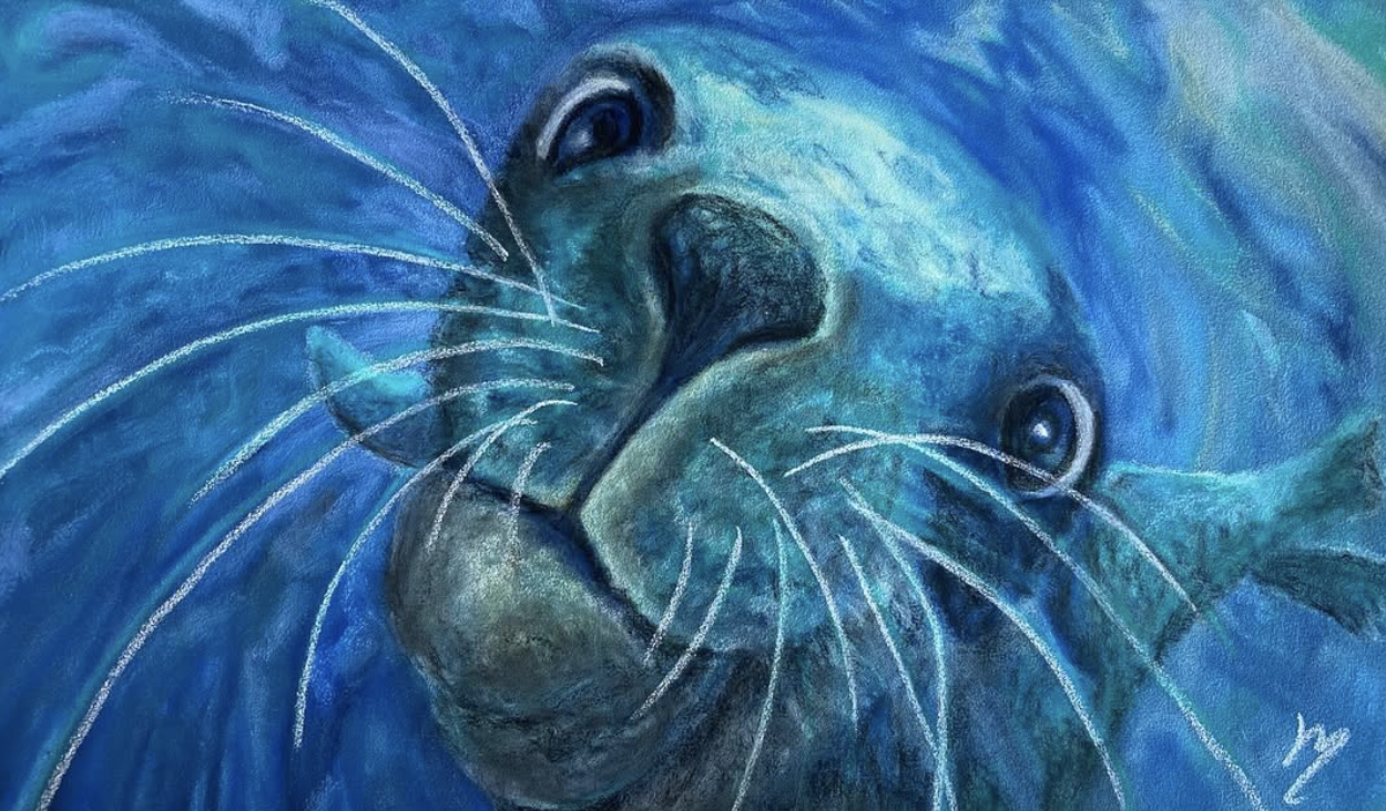 Curious Encounter - seal drawing