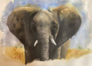 Marcellle Heller Art