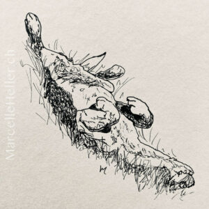 marcellehellerart 21