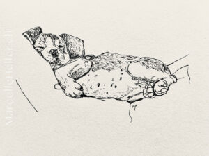 marcellehellerart 22