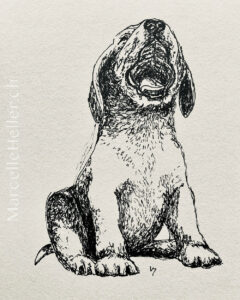 marcellehellerart 25