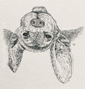 marcellehellerart 27