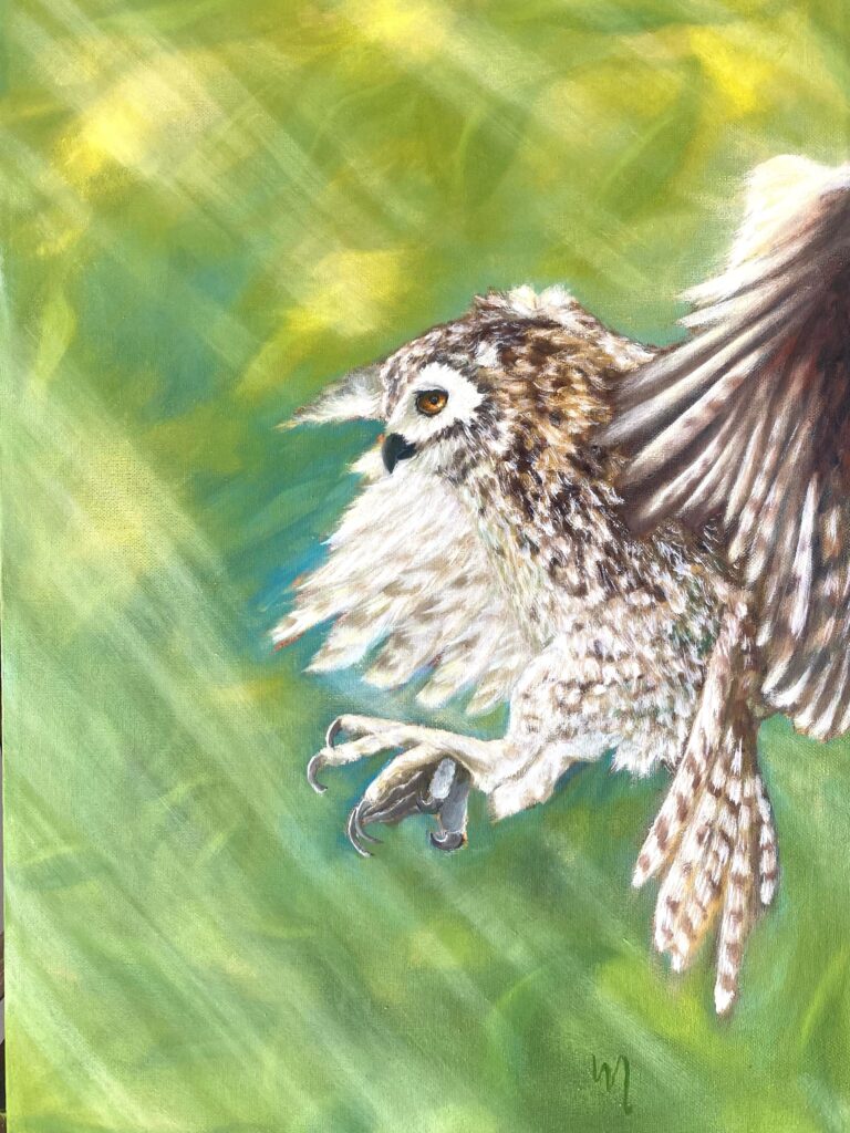 The Silent Strike The Silent Strike-Cape Eagle Owl in Flight