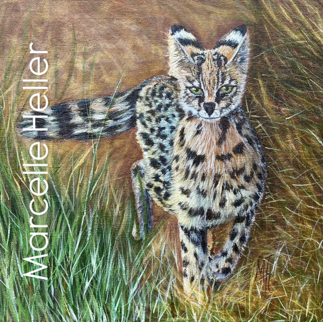 Serval in Acrylics