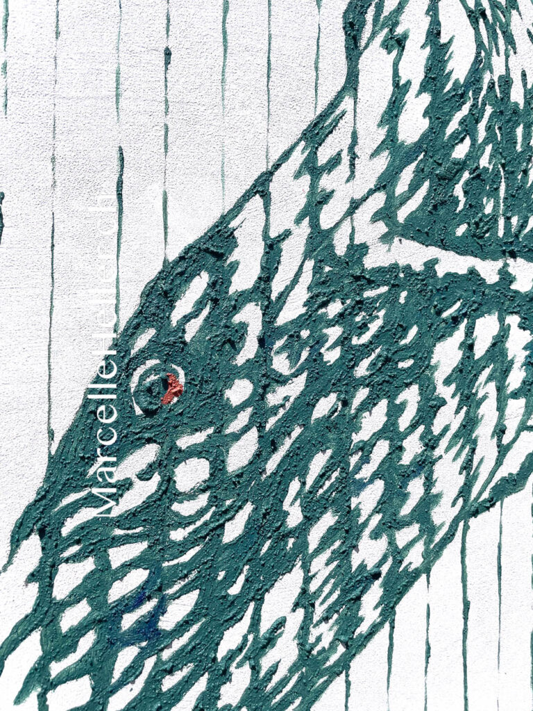 Whale Song in Turquoise