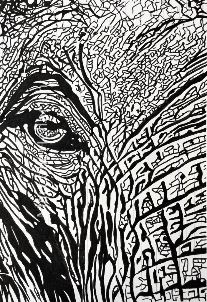 The Gaze Within–abstract drawing