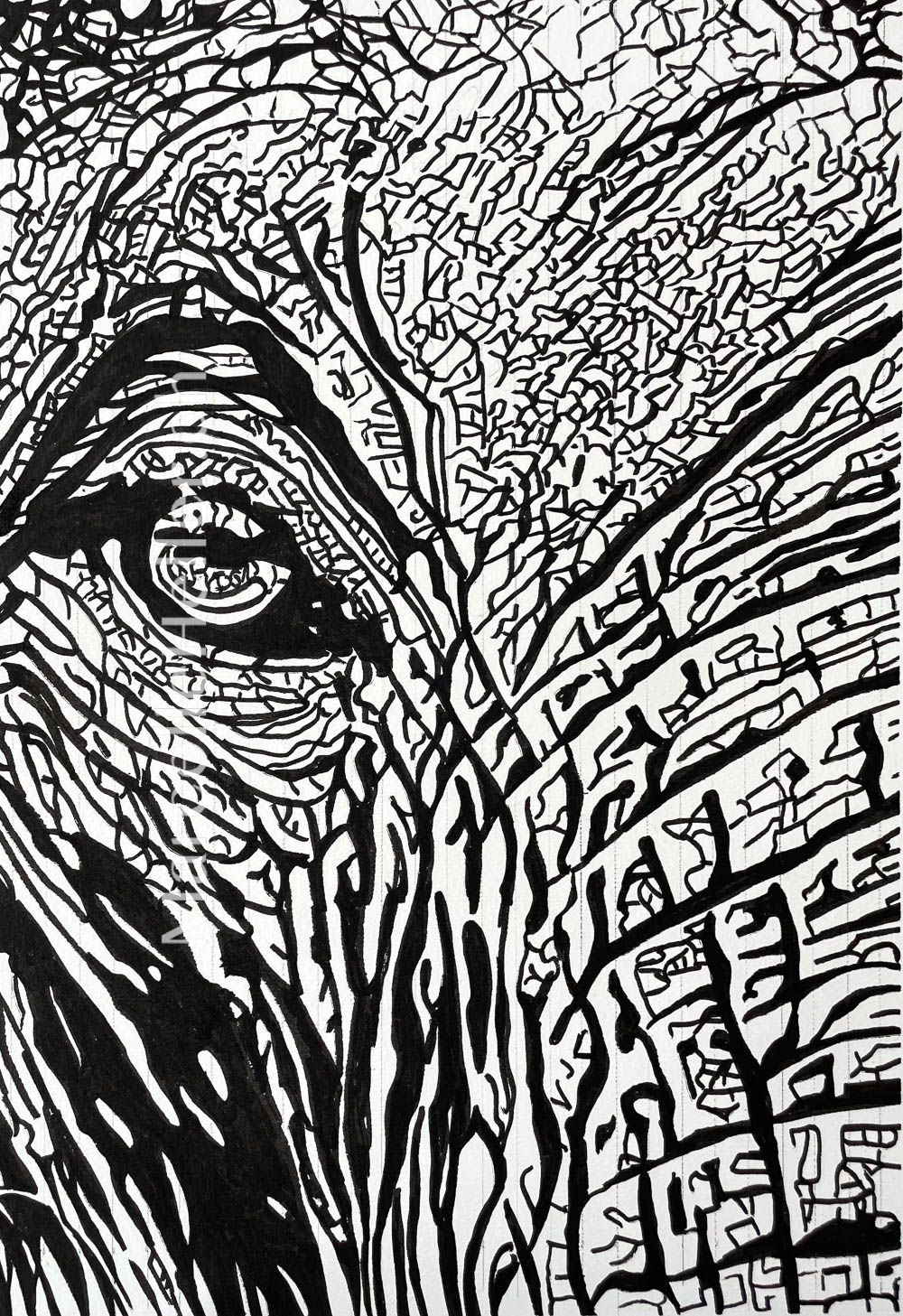 The Gaze Within–abstract drawing