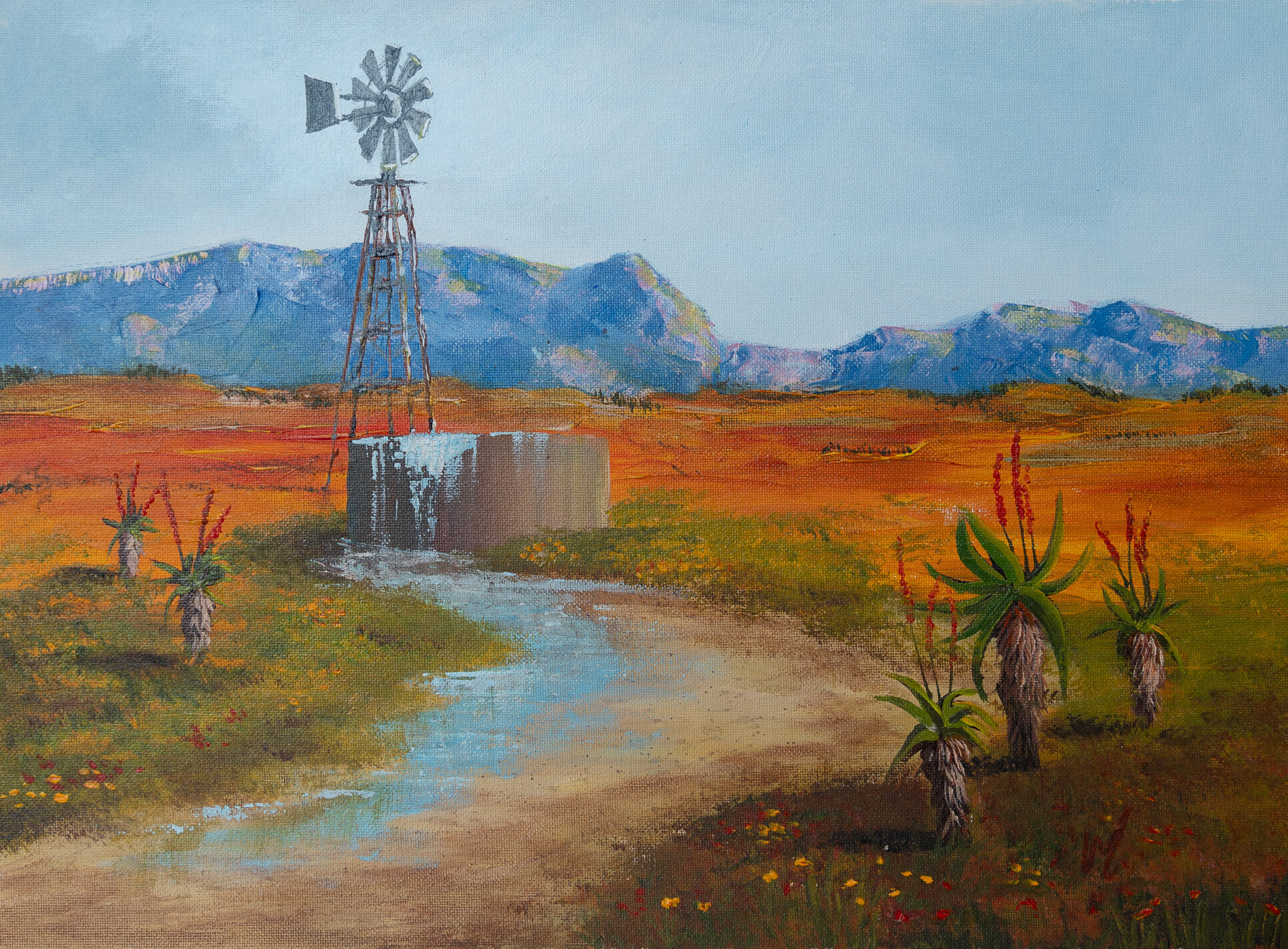 karoo reborn